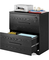 Devaise 2-Drawer Wood Lateral File Cabinet with Lock for Office Home, Black