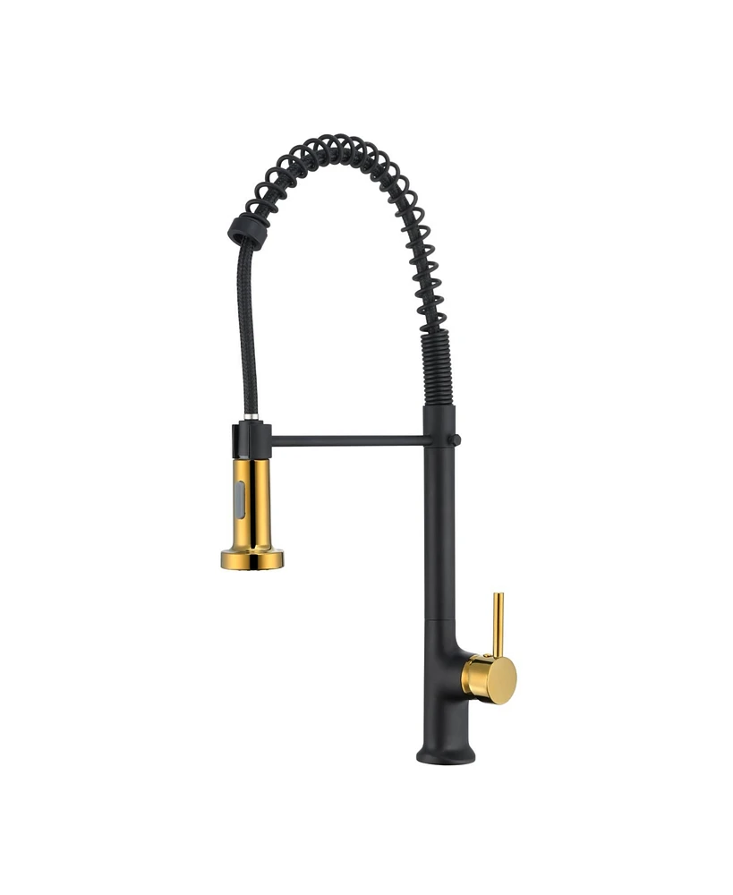 Flynama Single Handle Deck Mount Pull Down Sprayer Kitchen Faucet