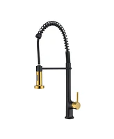 Flynama Single Handle Deck Mount Pull Down Sprayer Kitchen Faucet