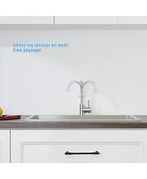 Flynama Single Handle Surface-Mounted Kitchen Faucet