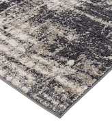 Amer Rugs Clifton CLF2 2'6"x9' Runner Area Rug