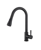 Flynama Single Handle Surface-Mounted Pull Out Sprayer Kitchen Faucet