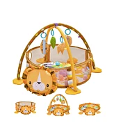 Hongge 4-in-1 Baby Play Gym with Soft Padding Mat and Arch Design