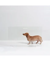 Hiddin Clear View Freestanding Panel Pet Gate