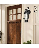 Flynama 1-Light Dusk to Dawn Outdoor Hardwired Wall Lantern Sconce with No Bulbs Included