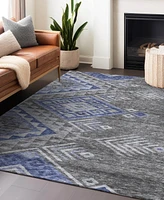 Addison Chantille Machine Washable ACN1091 2'6"x3'10" Area Rug