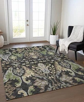 Addison Chantille Machine Washable Acn1153 Rug Collection