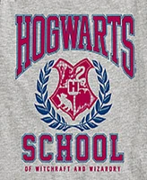 Hybrid Big Boys Harry Potter Hogwarts School Graphic Tee