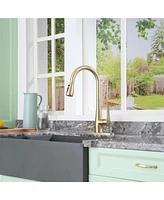 Casainc 1.8 Gpm Pull Down Kitchen Faucet with Deck Plate