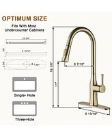 Casainc 1.8 Gpm Single-Handle Pull-Down Kitchen Faucet Single Hole with Deck Plate