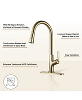 Casainc Single-Handle Pull-Down Kitchen Faucet Single Hole Faucet with Deck Plate