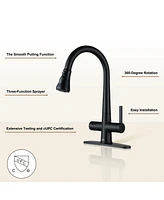 Casainc 1.8 Gpm Pull Down Kitchen Faucet with Deck Plate and Digital Display