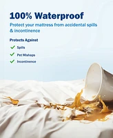 CleanBrands Pro Zippered Mattress Encasement, Queen