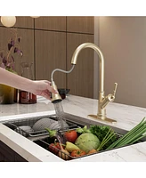 Casainc 1.8 Gpm Single-Handle Pull-Down Kitchen Faucet Single Hole