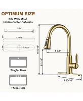 Casainc Single-Handle Pull-Down Kitchen Faucet Single Hole