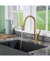 Casainc 1.8 Gpm Pull Down Kitchen Faucet with Deck Plate