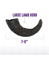 Lamb Horn Dog Chew - Large