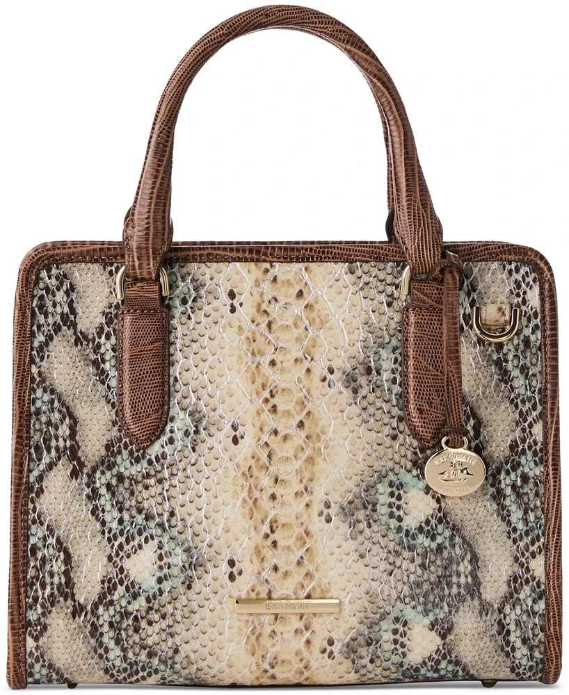 Brahmin Cami Eirwen Leather Satchel