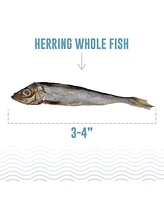 Icelandic+ Whole Fish Chips: Herring - Cat Treat 1.5oz