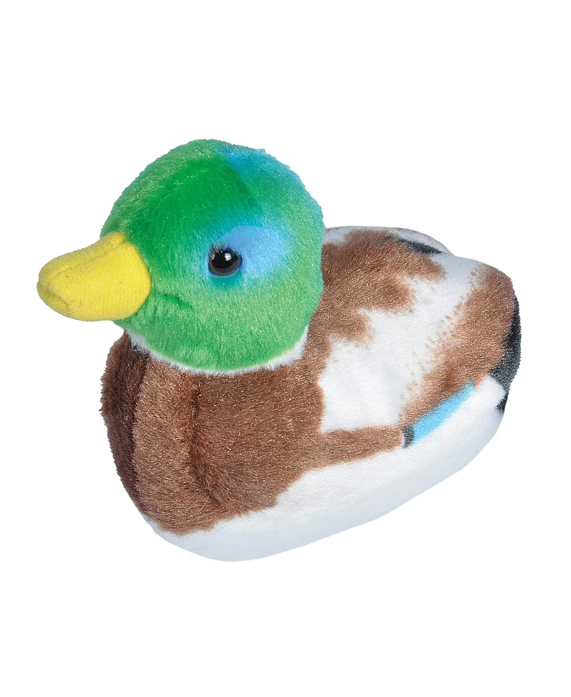 Wild Republic Audubon Bird Mallard Duck Stuffed Animal, 5.5 Inches