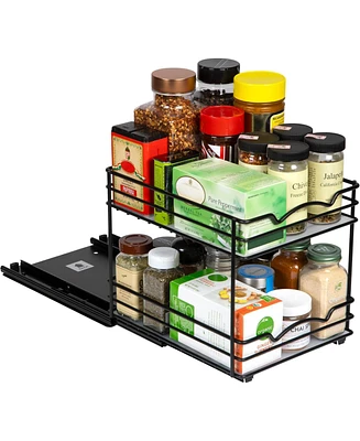 Florida Brands 2 tier Black Pull Out Spice Rack Organizer for Cabinet for Spices, Sauces and more.