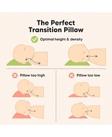 Cuddly Toddler Pillow with Pillowcase, 13X18 Kids for Sleeping, Small Travel Pillows, Nursery