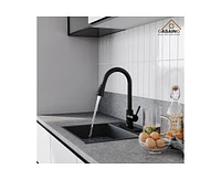 Casainc Pull Down Sprayer Kitchen Faucet with Dual-Function and Deck Plate Spot-Free
