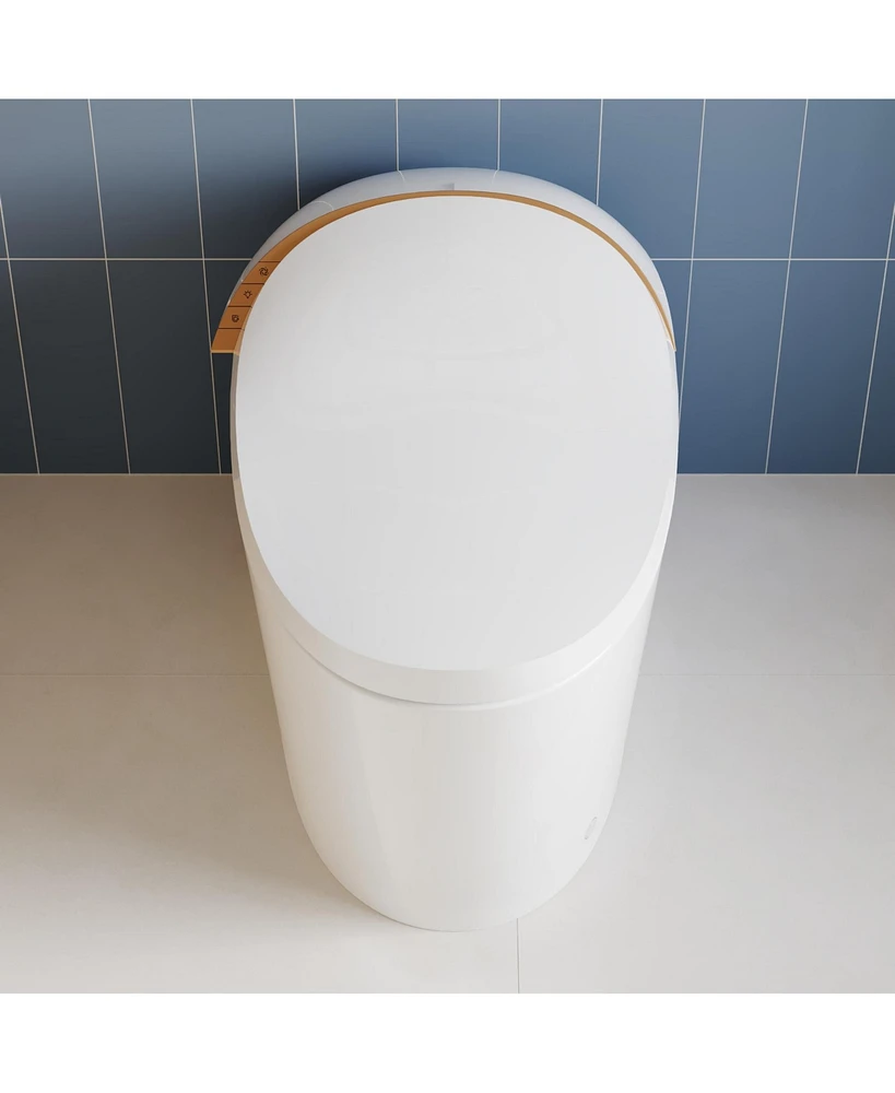 DeerValley Tankless Smart Elongated Toilet, Foot Flush, Seat Heating, Night Light, Soft-Close Seat,Standard