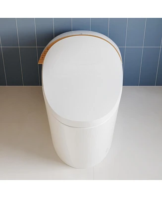 DeerValley Tankless Smart Elongated Toilet, Foot Flush, Seat Heating, Night Light, Soft-Close Seat,Standard