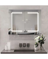 DeerValley Rectangular 31" W Double Doors Alumium Lighted Bathroom Mirros