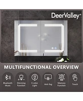 DeerValley Medicine Cabinets For Bathroom With Mirror, Wall Mounted Led Medicine Cabinet Organizer With Defogger, Dimmer, Bluetooth Speaker, Double Do
