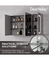 DeerValley 39'' W x 24'' H Led Lights Medicine Cabinets With Mirrors , Defogger, Dimmer, Bluetooth Speaker