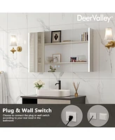 DeerValley 40'' W x 24'' H Led Bathroom Mirrors With Anti-Fog, Dimmer, Bluetooth Speaker, 3 Doors, Memory Vanit