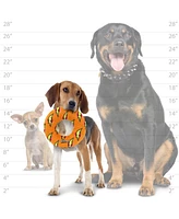 Mighty Medium Ring Orange, 2 Pack Dog Toy