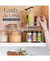 Florida Brands Pull Out Cabinet Organizer for Spices, Cans 2 Tier