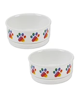 Bone Dry Rainbow Paw Pet Bowl Set/2