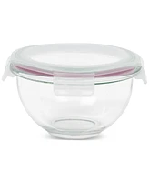 Sedona Kitchen 10-Piece Nesting Glass Bowl Set