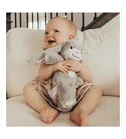 zooby mini