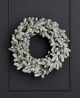 Seasonal 24" Shadow Woods Flocked Spruce Wreath, 30 Warm Led Lights