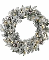 Seasonal 24" Lexington Fir Wreath, 50 Warm Led Lights