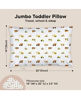 Jumbo Toddler Pillow with Pillowcase, 14X20 Soft Organic Pillows for Sleeping, Kids Travel