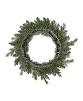 Seasonal 24" Palmetto Pine Flocked Wreath, 50 Dual Led Lights