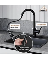 Casainc Pull Down Sprayer Kitchen Faucet with Dual-Function Sprayer and Deck Plate in Spot-Free