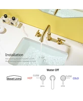 Casainc Widespread 2 Handle Mid-Arc Bathroom Faucet