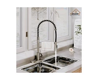 Casainc Spring Standard Kitchen Faucet with Dual-Function Spray Head and Deck Plate