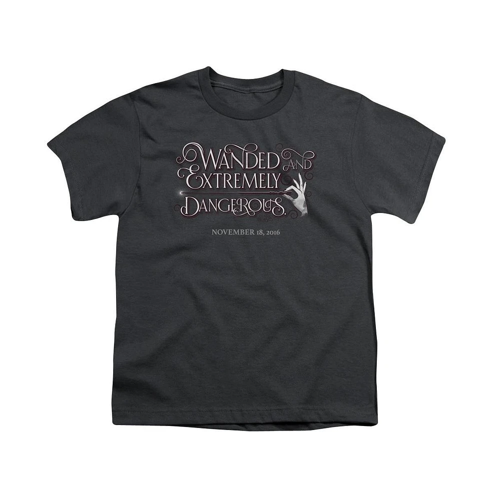 Fantastic Beasts Boys Wanded Short Sleeve Tee / T-Shirt