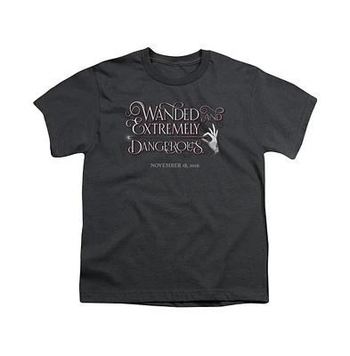 Fantastic Beasts Boys Wanded Short Sleeve Tee / T-Shirt