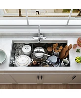 Casainc Undermount Kitchen Sink with Accessories