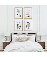 Napa Home & Garden Mountain Botanical Prints, Set Of 4