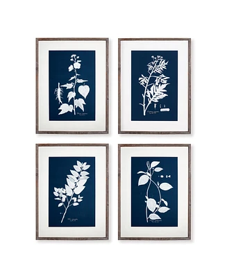 Cyano Botanical Leaf Study Set of 4